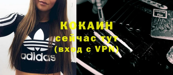 гидра Ахтубинск