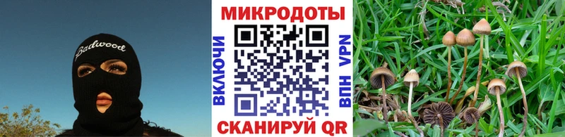 Псилоцибиновые грибы мухоморы  Дно 